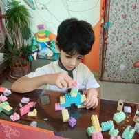 Cognitive Development